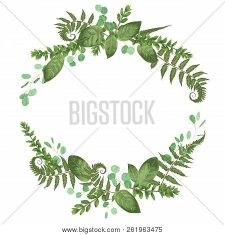 Vector Floral Bouquet Design: Set Green Forest Fern, Branches Boxwood, Buxus. Vector Watercolor Styl