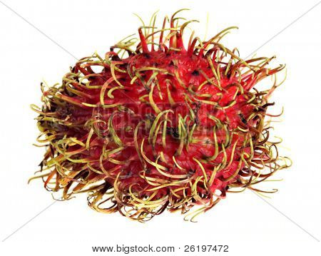 Macro de una fruta de rambután, un pariente de lichis, sobre un fondo blanco. Rambután es la fruta o