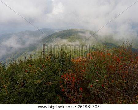 
Widod from Lysa Hora peak in the Beskidy mountains in the Czech Republic