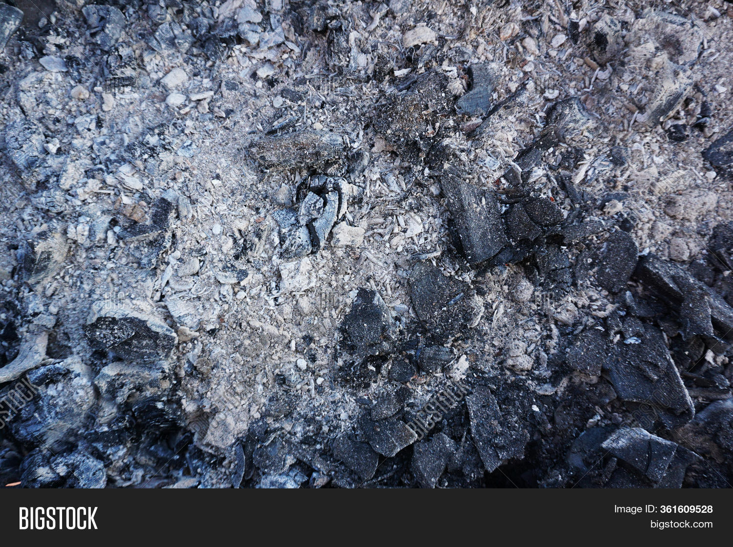 Burnt Coals Grey Ash Image & Photo (Free Trial) Bigstock