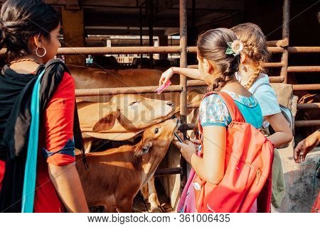 Mayapur, West Bengal, India - February 7, 2020. Multinational Group Of Teenage Girls On A Field Trip