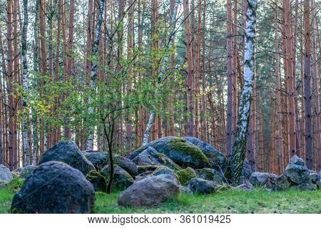 The Prehistoric Megalith Tomb 