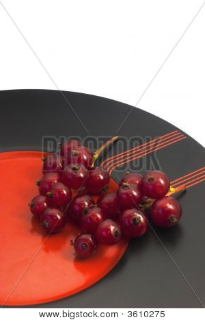 Red Currant