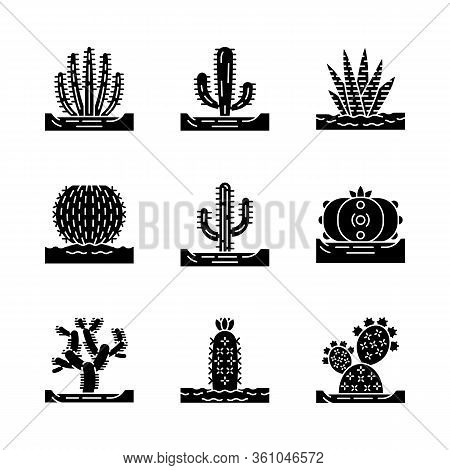 Wild Cactuses On Ground Glyph Icons Set. Mexican Tropical Flora. Succulents. Spiny Plants. Cacti Col