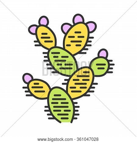 Prickly Pear Color Icon. Opuntia. Wild Paddle Cactus. Mexican Nature Plant. Isolated Vector Illustra