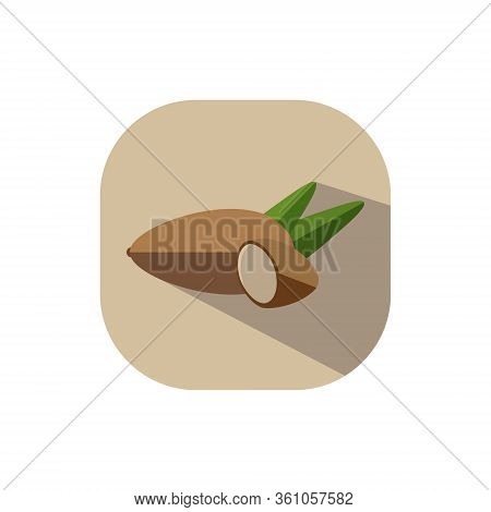 Vector Flat Design Almond Hazel Nut Symbol