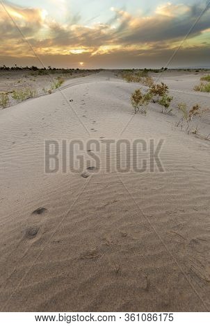 Sunset At The Gates Of The Sahara Desert.