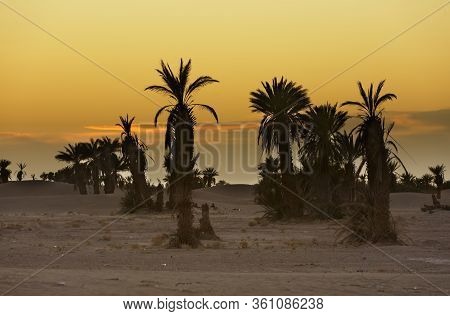 Sunset At The Gates Of The Sahara Desert In M'hamid El Ghizlane, Morocco.
