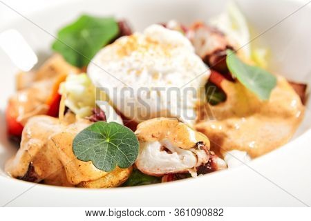 Salad in white bowl. Sliced octopus and fried potato. Served cut ingredients with mayonnaise, tomato spicy ajika and smoked pepper homemade sauce. Restaurant food portion in plate close up