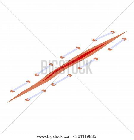 Scar Suture Icon. Isometric Of Scar Suture Vector Icon For Web Design Isolated On White Background