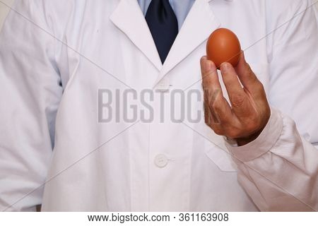 The Doctor Holds In His Hands A Dietary Egg For Proper Wholesome Nutrition.
