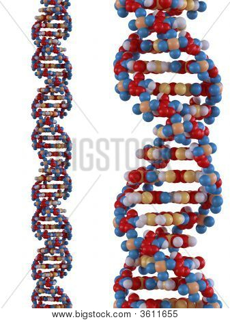 Cadeia de DNA