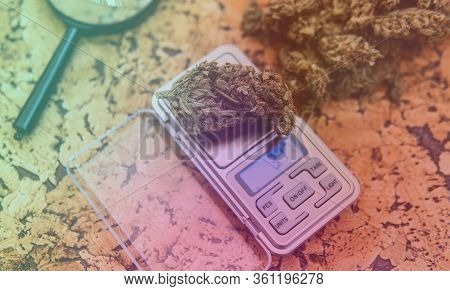 Strains Of Marijuana For Sale. Medical Marijuana And The Legalization Of Marijuana In The World.