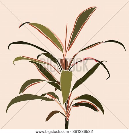 Cordyline Plant In A Minimalist Trendy Style. Silhouette Of A Tropical Plant. Vector Illustration Co