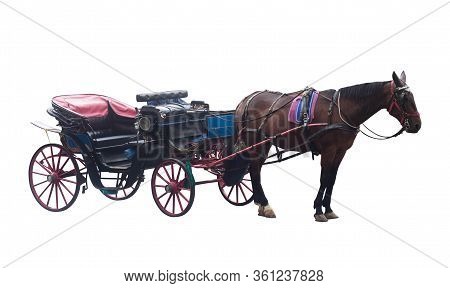 Old Vintage Empty Horse Carriage Couch Isolated On White Background
