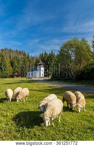 Museum Kysucke dediny in Kysuca, Slovakia