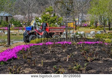 Hwanggan, South Korea; April 14, 2020: Red, Dirty Farm Utility Vehicle Parked Ibehind Flower Bed At 