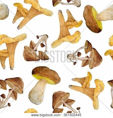 Seamless Watercolor Hand Drawn Pattern With Wild Mushroom Fungi. King Bolete, Porcini, Cep, Chantere