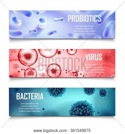 Bacteria, Probiotics And Viruses Cell Ad Design. Realistic Salmonella, Lactobacillus 3d Illustration