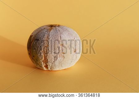 Ugly Food. Moldy Pumpkin On An Orange Background With Copy Space. Front View