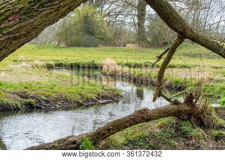 April 2020- Springtime At Nature Reserve Tegeler Fliess In Berlin