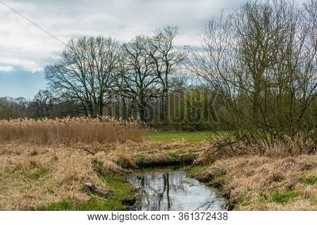 April 2020- Springtime At Nature Reserve Tegeler Fliess In Berlin