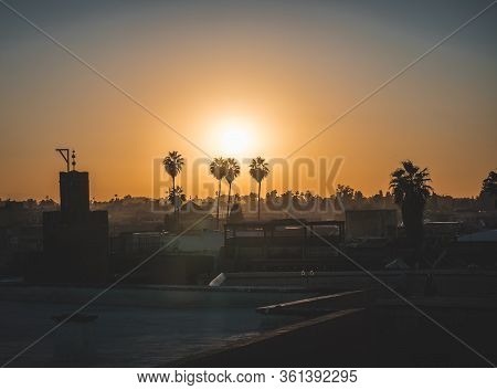 Sunset Sunrise Over The Palm Grove In Marrakesh, Morocco. Palmeraie - Silhouette Of Palm Trees With 