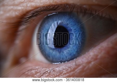 Male Eye Blu Color Super Macro Closeup Shot. Laser Vision Correction And Cataract Treatment Concept