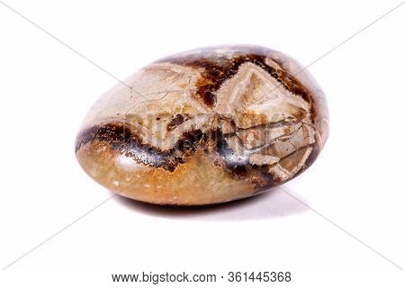Macro Mineral Stone Simbirzit And Septaria On White Background Close-up