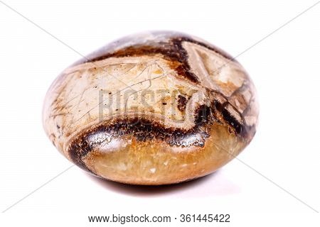 Macro Mineral Stone Simbirzit And Septaria On White Background