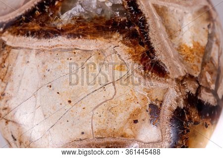 Macro Mineral Stone Simbirzit And Septaria On White Background
