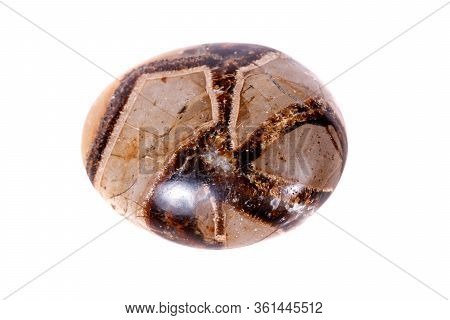 Macro Mineral Stone Simbirzit And Septaria On White Background