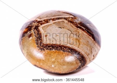 Macro Mineral Stone Simbirzit And Septaria On White Background