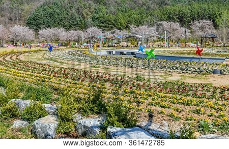 Landscape Of Public Park With Colorful Pinwheels Decorating Large Flowerbed And Cherry Blossom Trees