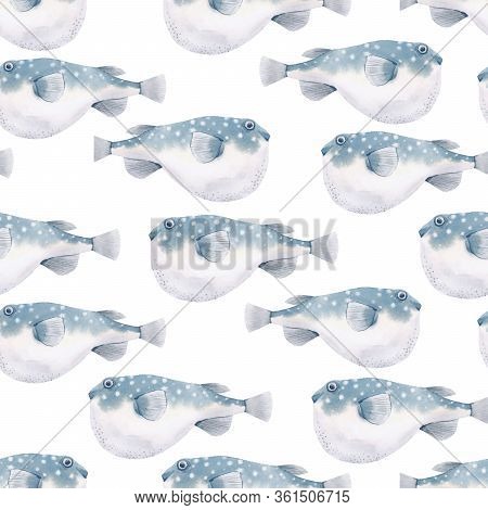 Beautiful Seamless Pattern With Watercolor Globe Fish. Stock Illustration.