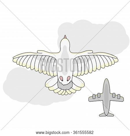 Cartoon White Dove Bottom View Flying In The Sky Against A Background Of Clouds And An Airplane. Whi