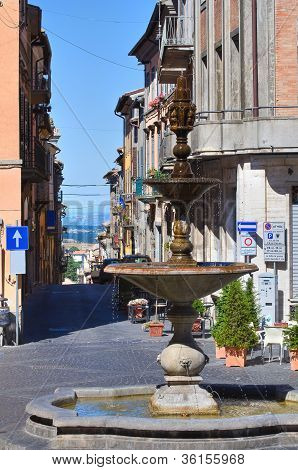 Gyde. Montefiascone. Lazio. Italien.