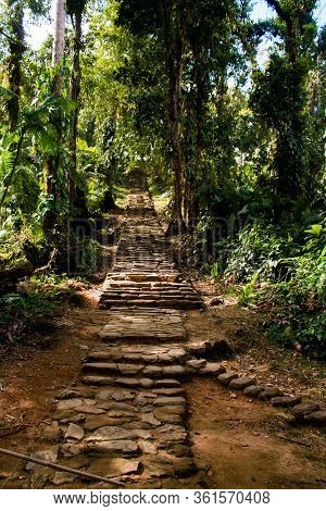 Long Stairway To Reach The Lost City (indigenous Name Teyuna), Sierra Nevada De Santa Marta, Magdale
