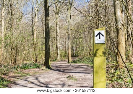Friston Forest Near Seaford, East Sussex, England, View Of The Trees In Spring, Sign Showing The Way