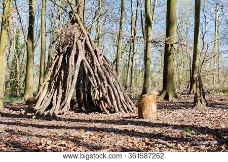 Friston Forest Near Seaford, East Sussex, England, View Of The Trees In Spring, Tree House Made Of B