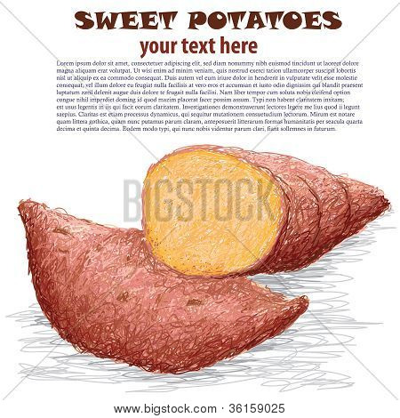 Batata-doce