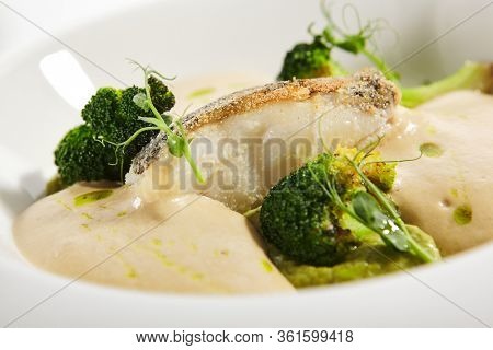 Sea cod fillet close up. Served cuisine. Dish with fish and baked broccoli puree ingredients in white plate isolated. Luxury culinary. Restaurant food portion, delicious supper, main course