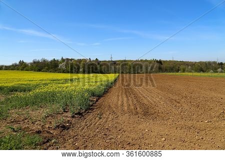 Spring Landscape With Rapefield And Arable Land