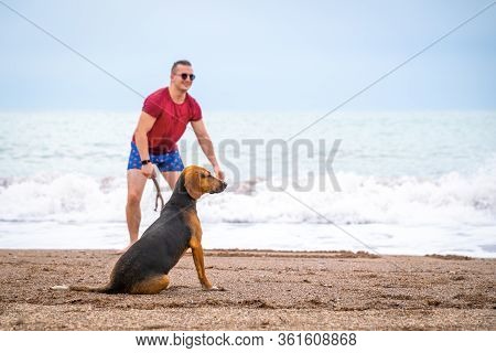 Young Handsome Man Walks With Big Expressive Dog Though Seashore. Deserted Beach, Happy Pair, Positi