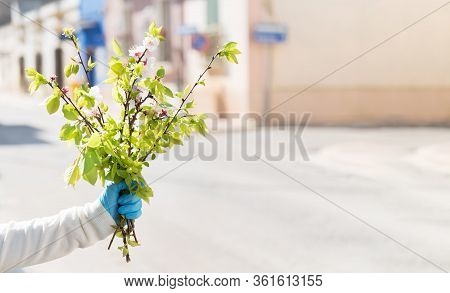 Close Up Of Female Hands Holding A Branch Of Blooming Twigs, Standing In The Middle Of Empty Street.