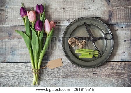 Preparing a bunch of tulips. Eied tulips in pink and purple with scissors, string and trimmings on a pewter plate.