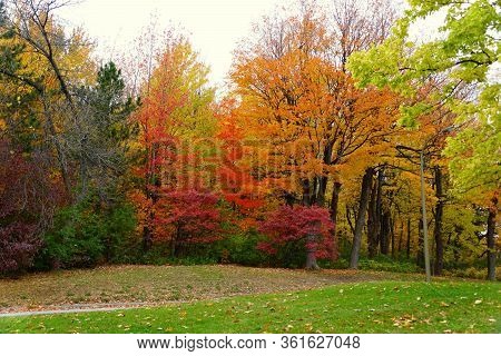 Striking Colors Of Fall Foliage Near Mount Royal, Montreal, Canada.