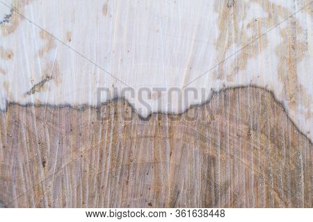Vintage Surface Of Wood. Rustic Texture Background. Rustic Wood Wall Planks Texture. Natural Rustic