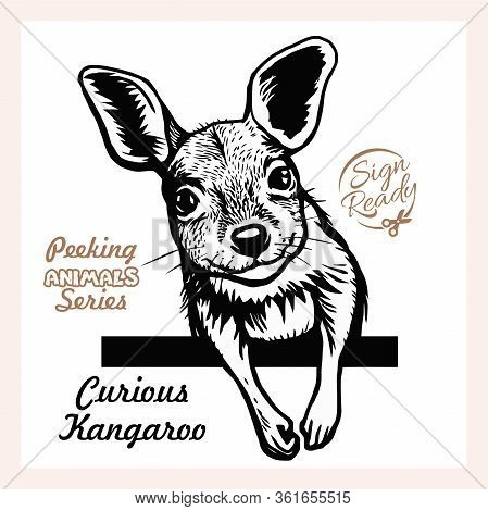 Peeking Funny Kangaroo - Funny Kangaroo Peeking Out - Face Head Isolated On White