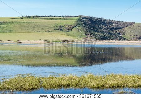 Views Of Cucmere River Near Seaford And Eastbourne, East Sussex, From Friston Forest, Beautiful Refl